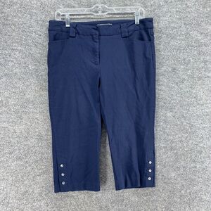 5/$45 89th & Madison Cropped Pants Women 12P Petite Blue High Rise Flat Front